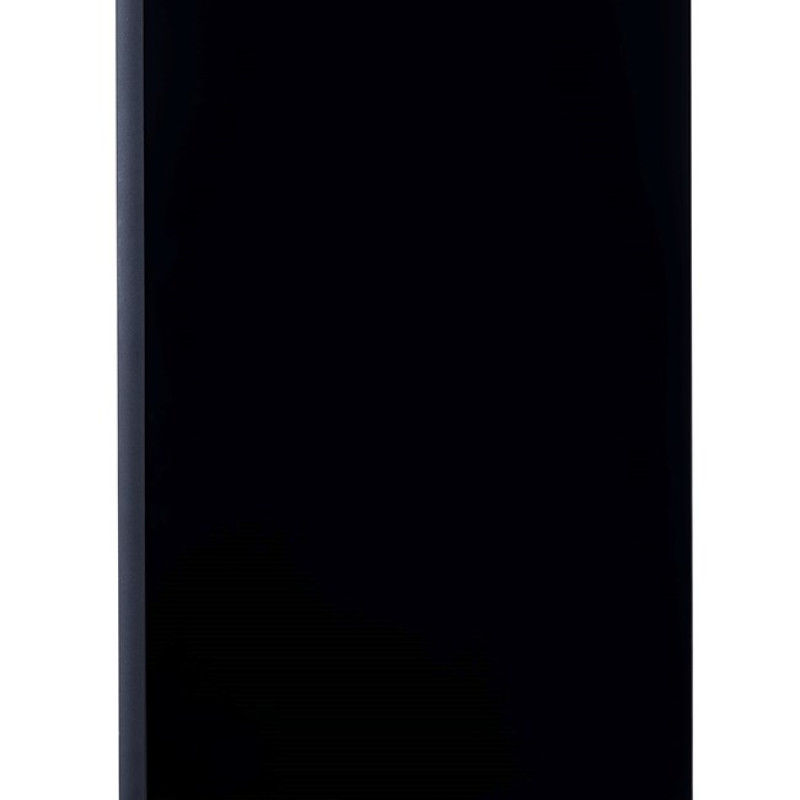 Dell P2422H 23.8" FHD IPS Monitor (2021)