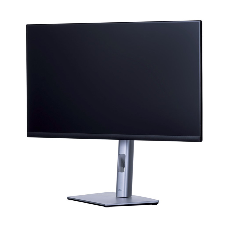 Dell P2422H 23.8" FHD IPS Monitor (2021)